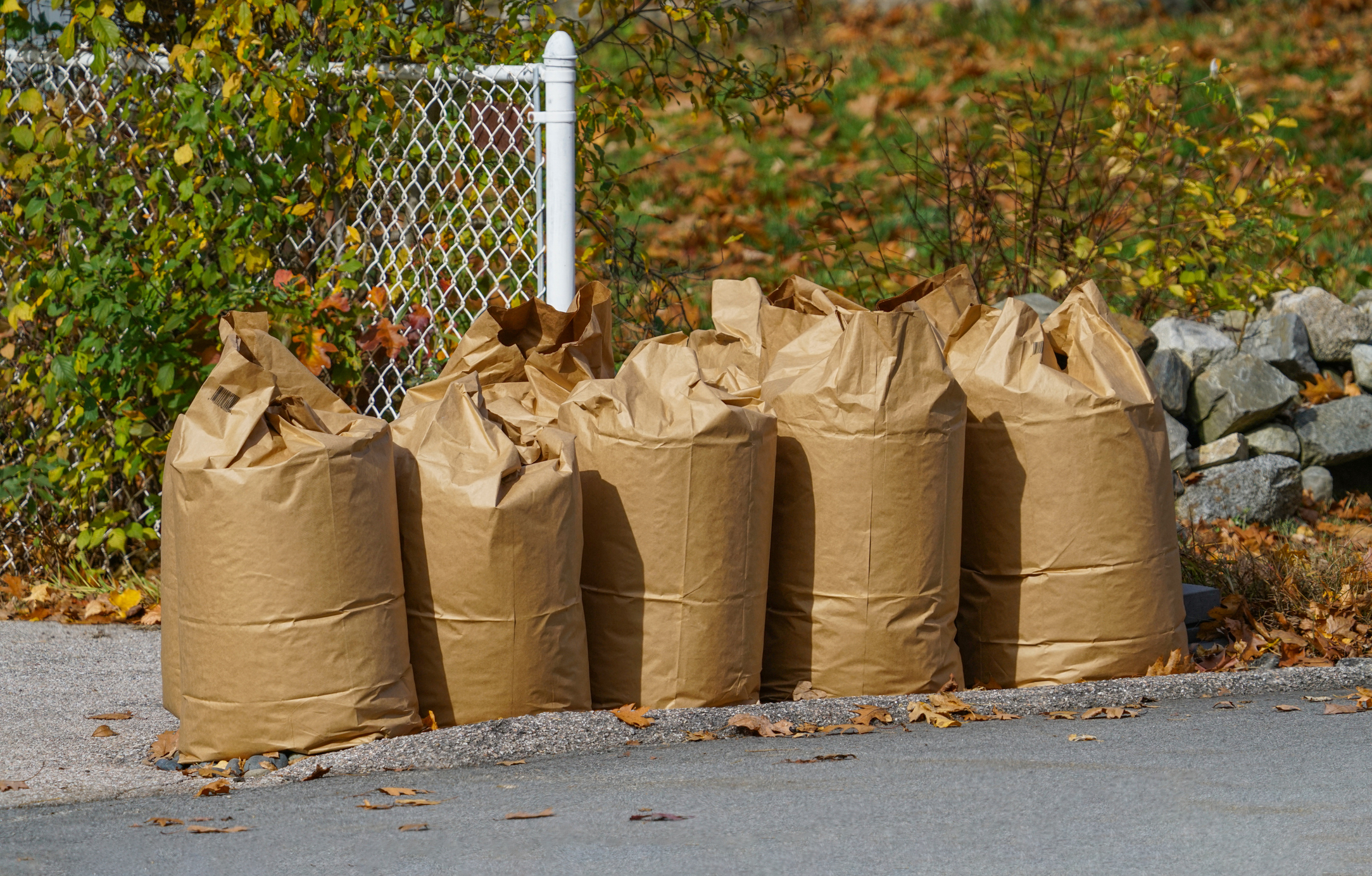 Leaf Bags 