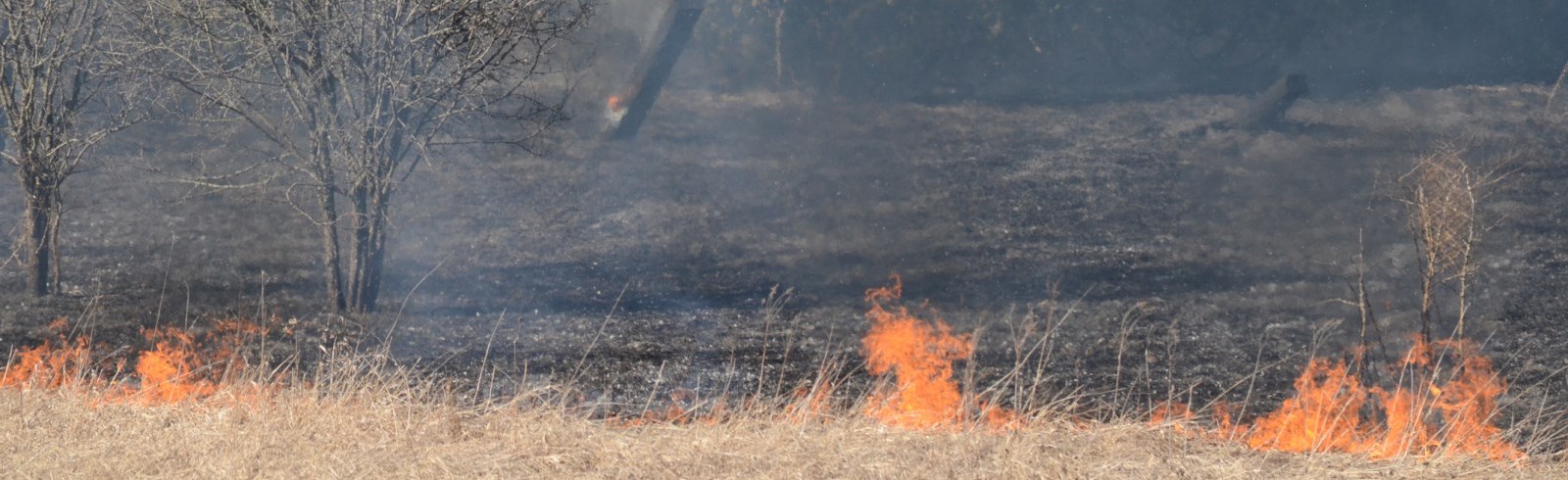 wildfire and burning meadow