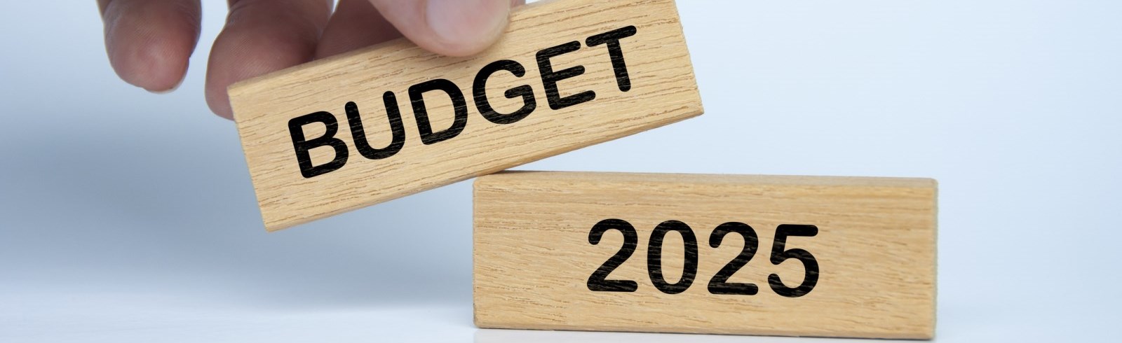 2025 Budget 