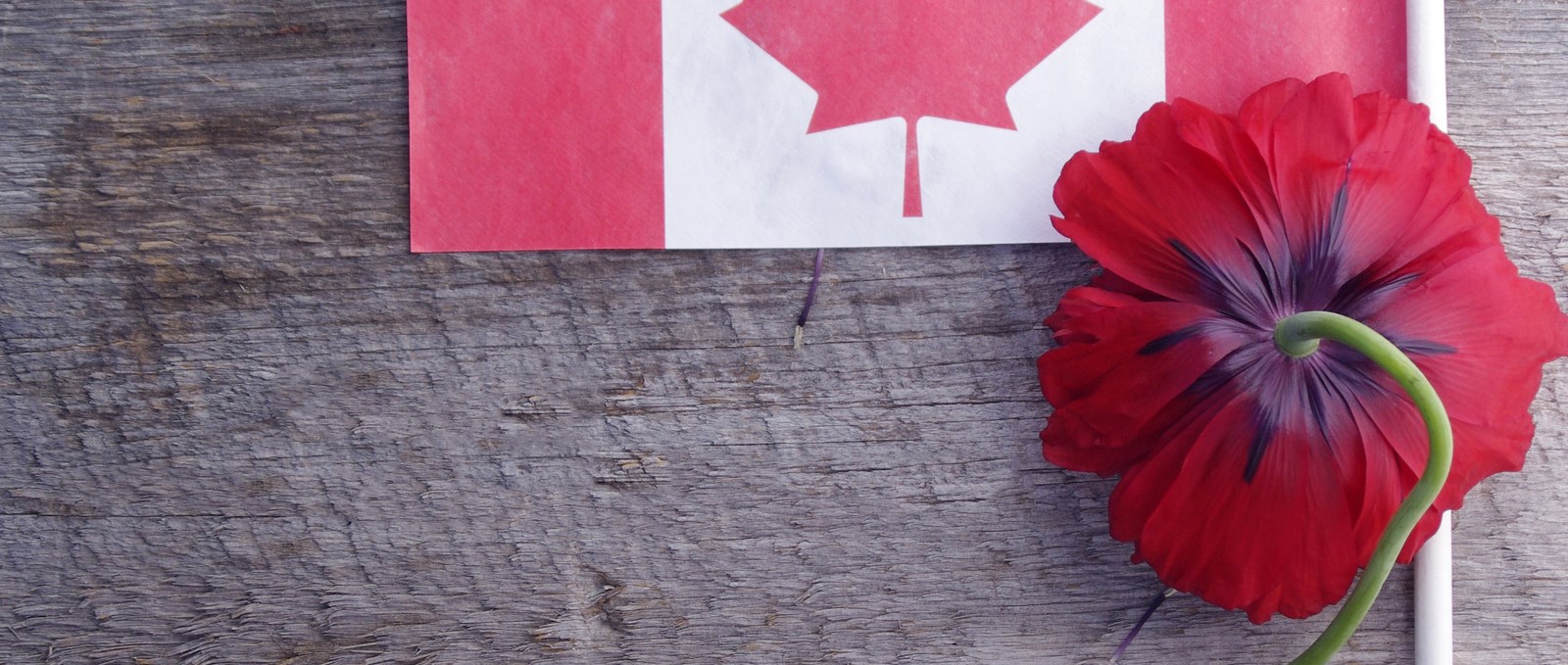 Remembrance Day Banner