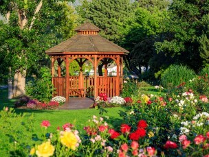 Cedar Gazebo with a Rose garden in front